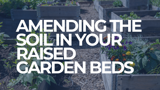 Wool pellets to amend your soil in your raised garden beds