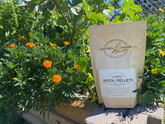 Wool Pellets: Simplify your gardening routine