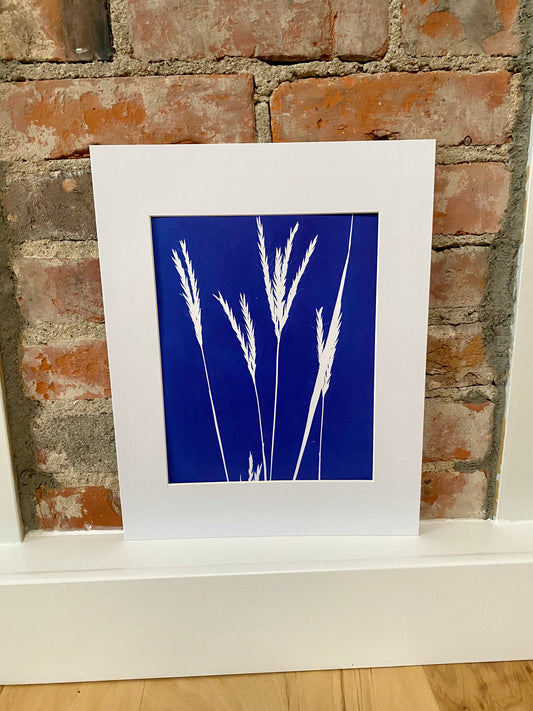 Cyanotype Print 8"x10" print with white mat of 11"x14"