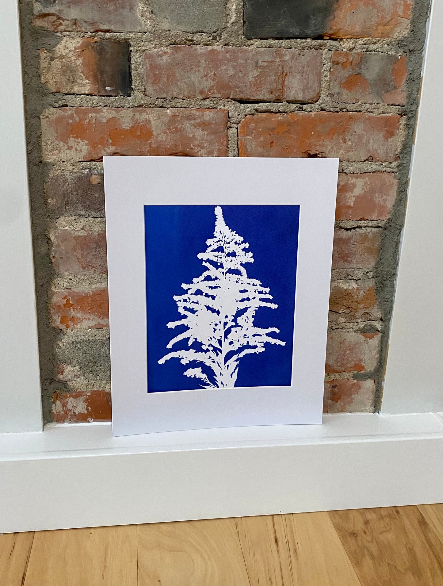 Cyanotype Print 8"x10" print with white mat of 11"x14"
