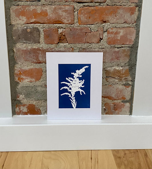 Cyanotype Print 5"x7" print with white mat of 8"x10"