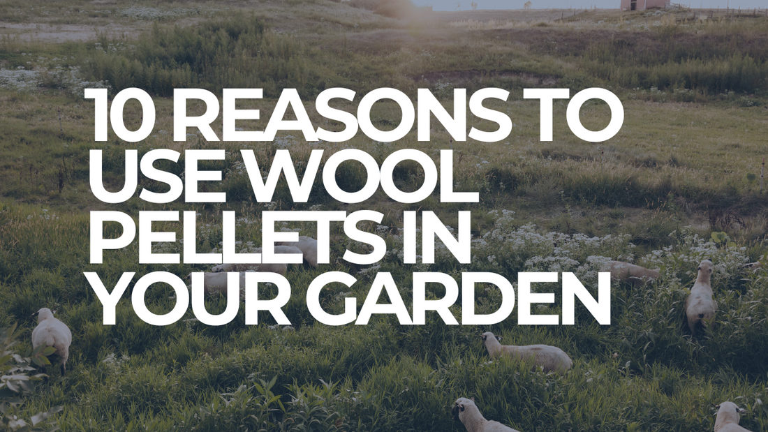 10 reasons to use wool pellets in your garden