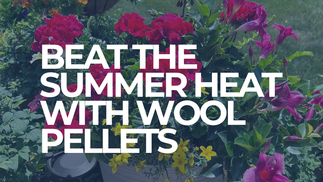 Beat the summer heat with wool pellets