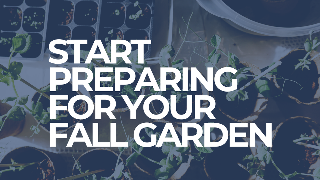 Prepare for your fall garden now