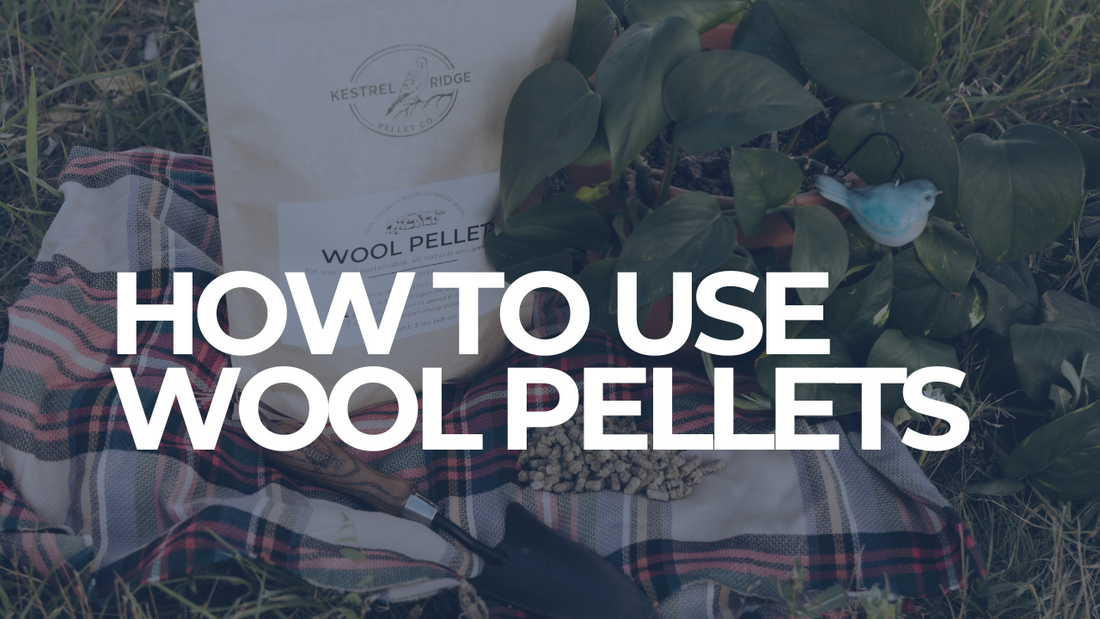 How to use wool pellets