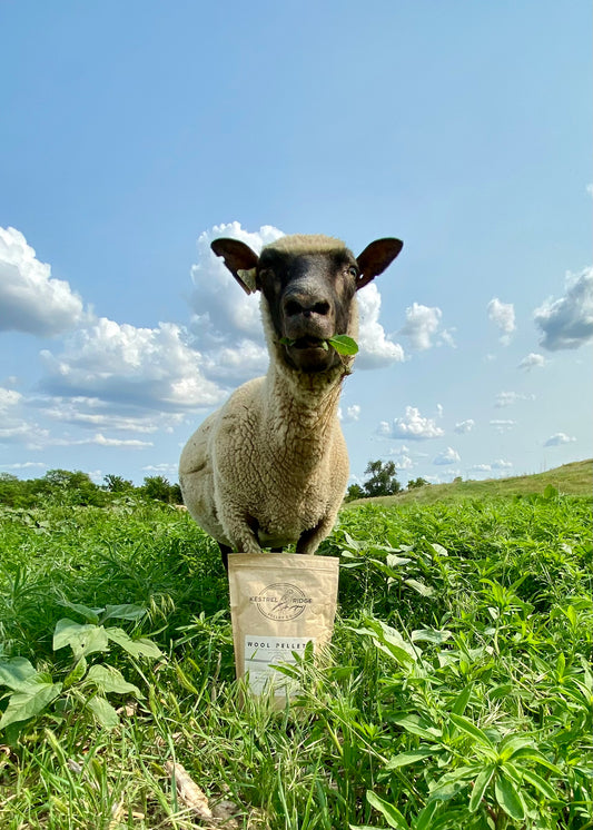 Wool Pellet Research Results!