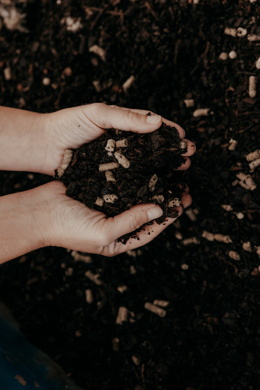 wool pellets mixed into soil to nourish plants