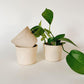 3-inch ceramic planter
